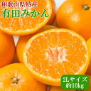 【ふるさと納税】［秀品］ 和歌山 有田みかん 約10kg 2Lサイズ 2025年11月中旬頃より順次発送 | みかん 蜜柑 フルーツ 果物 くだもの 食品 人気 おすすめ 産地直送 送料無料