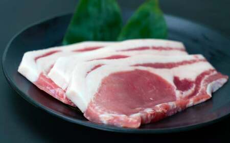 国産豚肉 4種詰め合わせ [こま切れ/ロース/バラ/肩ロース]全2.8kg / meat styleイイダ すわ味豚 豚肉 信州 長野県 諏訪市 諏訪 [65-02]