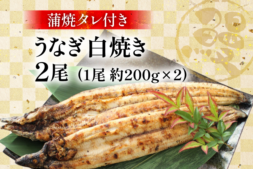 うなぎ 鰻 白焼き 2尾 たれ付き [オーチャンズ 宮崎県 美郷町 31bn0003] ウナギ 国産 蒲焼のたれ 付き タレ たれ 蒲焼 蒲焼き_イメージ5