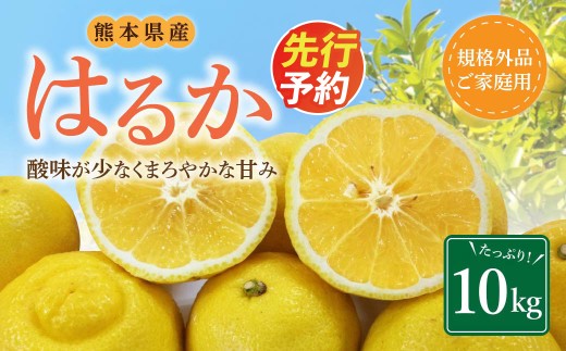 ＜ R8年熊本地震復興支援 ＞【規格外品】はるか ご家庭用 10kg サイズ不選別 サラダみかん 柑橘 ミカン 果物 【2027年2月上旬～3月下旬迄発送予定】