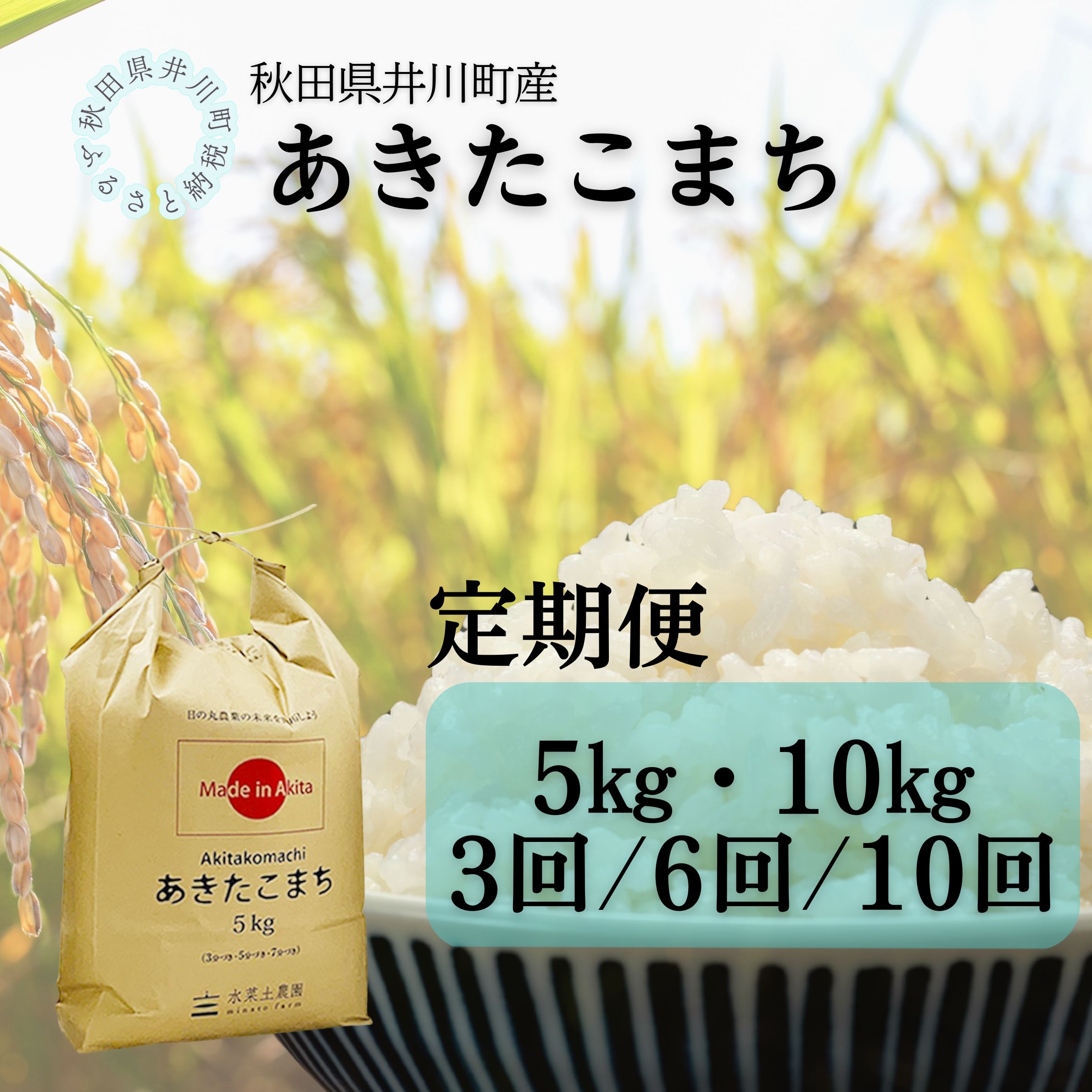 【ふるさと納税】【定期便】井川町産　あきたこまち5kg/10kg