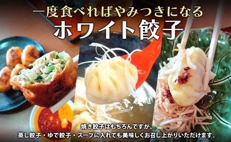 餃子のはながさ ホワイト餃子 80個 16個×5パック 冷凍 中華 点心 B級グルメ ご当地 野菜 おつまみ おかず 簡単調理 時短 豚肉 ポーク 大きめ ジューシー ギフト お取り寄せ 日高市