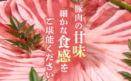 【6回定期便】FA さくらポーク ギフトセット 【KRAZY MEAT(小田畜産)】[ZCP120]