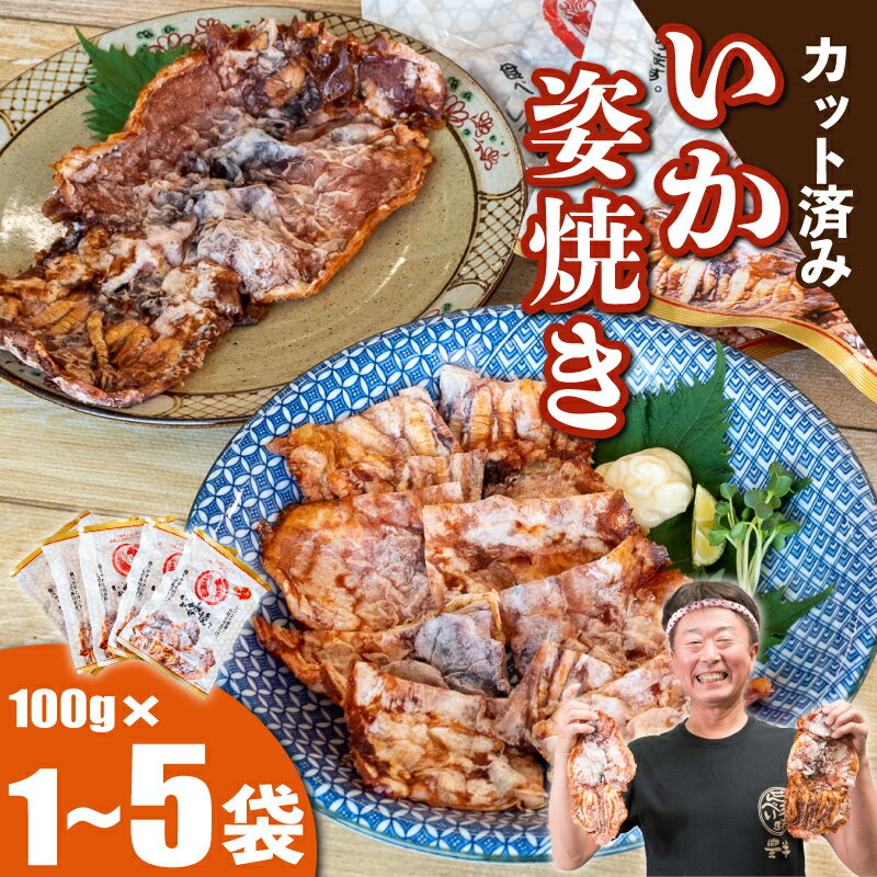 【ふるさと納税】 いか 姿焼き 100g×1~5袋 カット済 冷凍 小分け おつまみ イカ 姿 焼き ( ふるさと納税 イカ せんべい ふるさと納税 せんべい いか せんべい ふるさと納税 イカ焼き いか焼き ふるさと納税 おつまみ 酒の肴 ) 愛知県 南知多町 お菓子 菓子 おかし 大容量