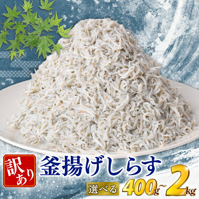 【ふるさと納税】 訳あり しらす 400g ～ 2kg 国産 冷凍 釜揚げしらす 魚 海鮮 規格外 不揃い シラス ご飯 サラダ 魚介 チャーハン パスタ ピザ シラス丼 料理 酒 おつまみ 産地直送 国産しらす 人気 ランキング 5000円 ギフト 贈答 高知県 安芸市