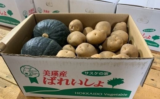
            【先行予約】<令和7年産 >サスケの家 馬鈴薯と南瓜の詰め合わせ[011-48]
          