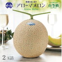 【ふるさと納税】【通年出荷】アローマメロン(山等級) 2玉入【品格溢れる高級品】【配送不可地域：離島・北海道・沖縄県】【1170114】