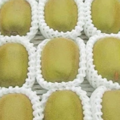 レッドキウイフルーツ化粧箱入り　産地直送約1.5kg(12～18玉)【配送不可地域：離島】