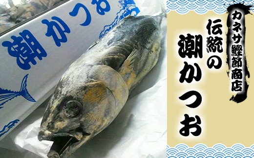 カネサ鰹節商店の「伝統の潮かつお」【限定30本】 潮かつお 塩かつお しおかつお カツオ 鰹 西伊豆 伊豆 ギフト お歳暮 御歳暮 御中元 お中元