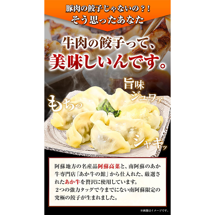 あか牛と高菜の餃子 18個入り×3箱 南阿蘇物産センター《30日以内に出荷予定(土日祝除く)》---sms_fautkngz_30d_23_14500_46p---