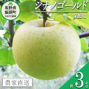 【ふるさと納税】 りんご シナノゴールド 家庭用 3kg ヤマウラ農園 沖縄県への配送不可 令和6年度収穫分 長野県 飯綱町 〔 信州 果物 フルーツ リンゴ 林檎 長野 12000円 予約 農家直送 〕発送時期：2024年11月上旬～2024年11月下旬 {**}