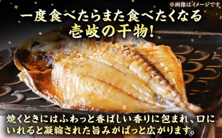 【全12回定期便】旬の干物 おまかせ詰め合わせ《松》（カマス・アカハタ・鯛など）[JDR017]