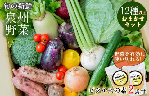 季節の泉州野菜 12種 おまかせセット ピクルスの素 2袋付き