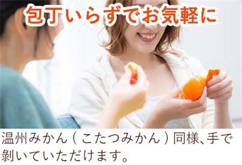 『先行予約』【令和8年11月発送】山下紅みかん(ハウス栽培) 唐津産 3kg ミカン 蜜柑 果物 フルーツ