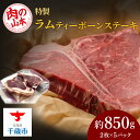 【ふるさと納税】特製ラム【ティーボーン】ステーキ10枚（約850g）＜肉の山本＞北海道ふるさと納税 お肉 肉 にく ニク ふるさと納税肉 北海道 千歳市 羊肉 らむ ステーキ ラム【北海道千歳市】ギフト ふるさと納税 夏ギフト