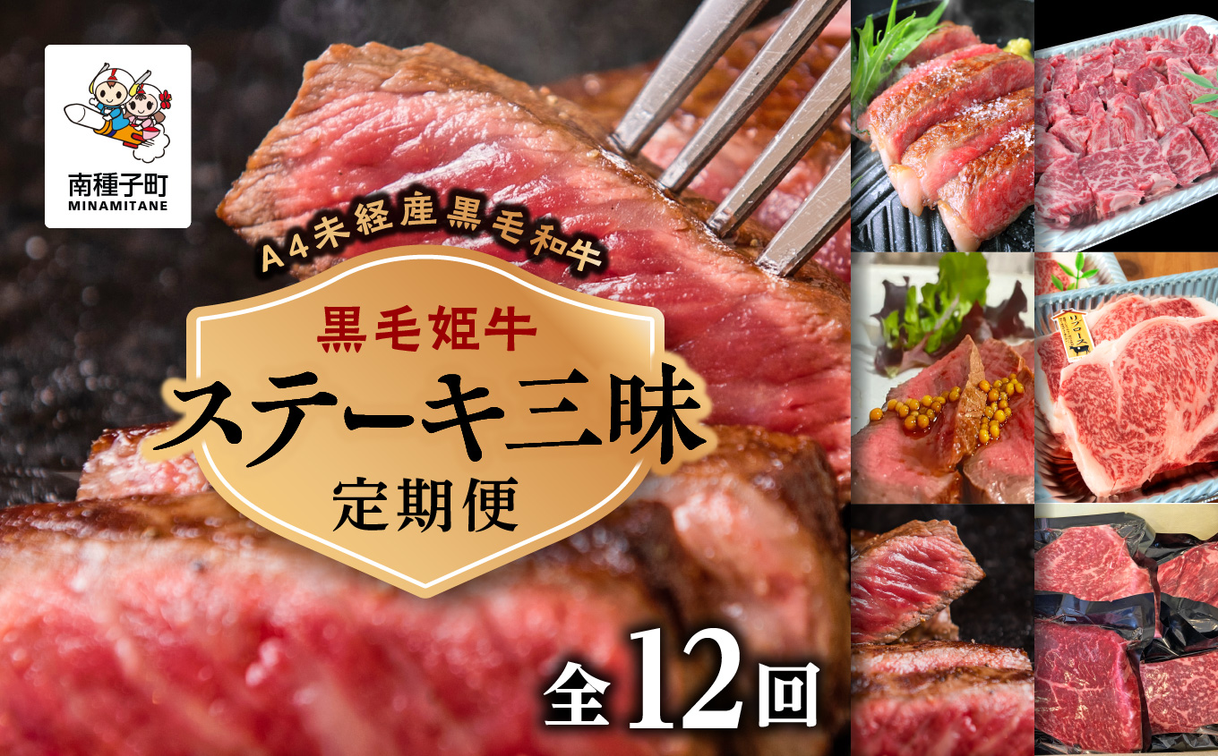 【定期便】ステーキ三昧（全12回）【Meat you Kitchen姫ファーム】