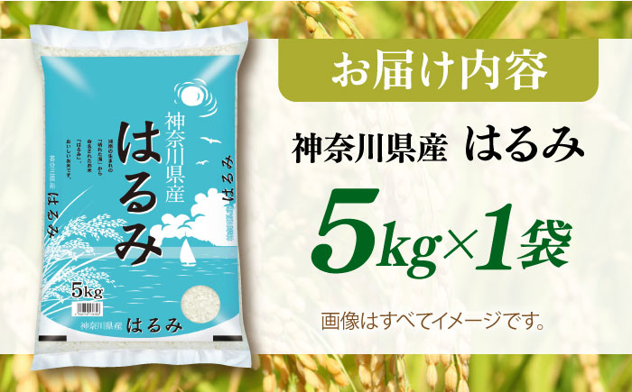 【数量限定】お米　はるみ　5kg【株式会社ヨコショク】 [AKGC001]