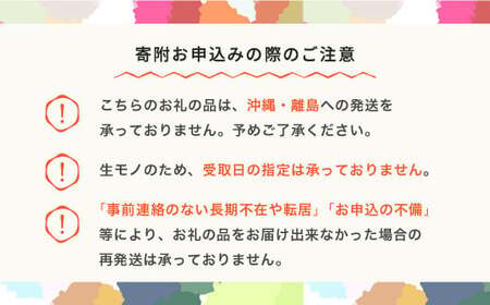 先行予約 さくらんぼ やまがた紅王 3L以上 秀品以上 300g 100g×3パック 2026年産 令和8年産 山形県産 mm-yb3ld300