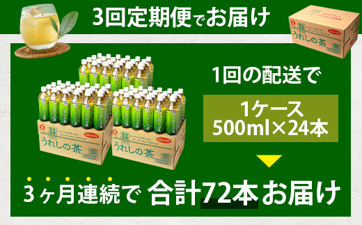 工場直送！うれしの茶 500ml×24本入 《3回 定期便》箱買い セット お茶 飲料 緑茶 飲み切りサイズ うれしの 嬉野茶 ペットボトル 24本入り 500ml ストック ギフト 贈り物 贈答 お