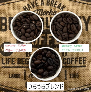 【3ヵ月定期便】【月替わり定期便】2産地＋季節のブレンド各200g　初回テイステングノート付 ※離島への配送不可