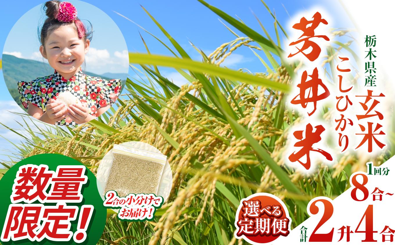 
                  【数量限定】【令和7年度】那珂川町産 芳井米 玄米 330g（2合分）×4、8、12  定期便あり(1,2,3回) | こしひかり  玄米 米 ごはん  ふっくら もちもち  ふるさと納税 那珂川町 栃木県
                