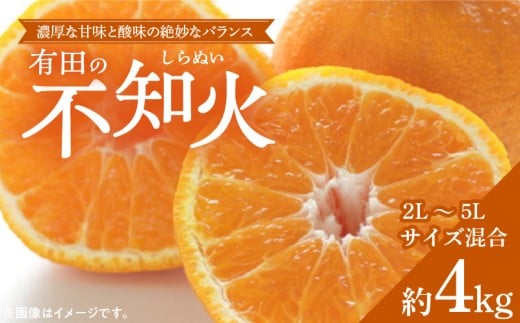 ZD6380n_【2026年先行予約】【濃厚】有田産不知火約4kg（2L～5Lサイズ混合）