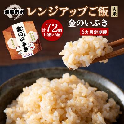 ふるさと納税 岩沼市 【令和7年産新米】【6ヵ月定期便】金のいぶきレンジアップごはん12個[No.5704-0952]