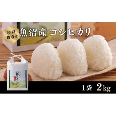 【ふるさと納税】【特別栽培米】頂米 金兵衛 魚沼産コシヒカリ（精米）2kg お米 コメ 　お届け：11/1より順次発送