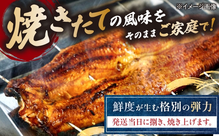 うなぎ 鰻 ウナギ 鰻蒲焼き うなぎ蒲焼き ひつまぶし うなぎ茶漬け おにぎり 国産 真空 冷凍 蒲焼 丑の日 個包装 小分け