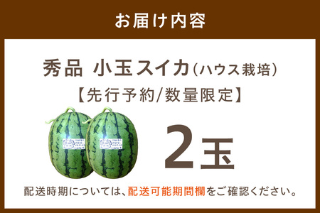 【先行予約／数量限定50】にしまるスイカ 2玉入り（2024年6月下旬から発送）