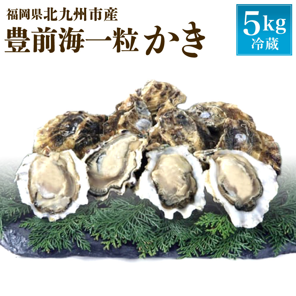 【ふるさと納税】【配達日時指定必須】豊前海一粒かき 5kg 江口商店 牡蠣 ブランド 一粒牡蠣 濃厚 焼き牡蠣 蒸し牡蠣 カキフライ 牡蠣フライ 殻付き カキ 生牡蠣 冷蔵 福岡県 ※ご入金から14日以降でご希望のお届け日を記載ください