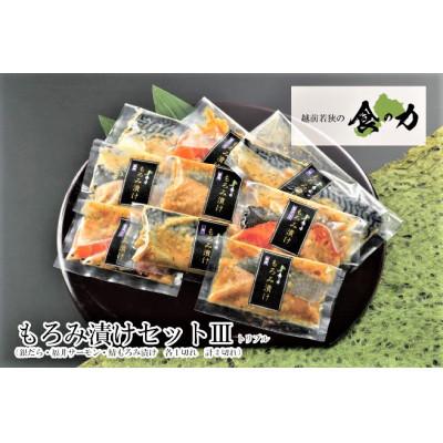 ふるさと納税 鯖江市 もろみ漬けセットトリプル(銀だら・ふくいサーモン・鯖(各3切れ))