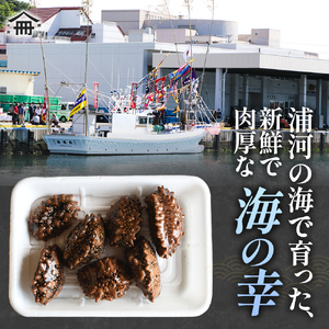 【先行受付開始！】北海道浦河産『活なまこ』1kg※不在日・日付指定対応不可※[06-1591]