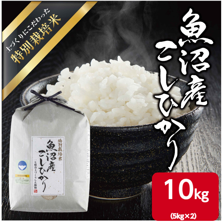 令和6年産新米　魚沼産 コシヒカリ 特別栽培米 10kg（5kg×2） 米 こしひかり お米 コメ 新潟 魚沼 魚沼産 白米 送料無料 新潟県産 精米 産直 産地直送 契約農家 お取り寄せ 魚沼三昧 川治米店 新潟県 十日町市