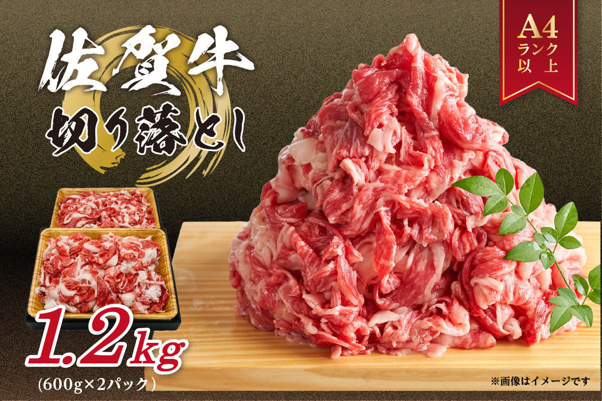 
            【選べる発送月】 佐賀牛 訳あり Ａ4～Ａ5等級 切り落とし 1.2kg （600ｇ×2パック） J1052
          