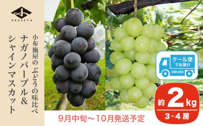 
            高級ぶどう味比べ詰合せ ナガノパープル ＆ シャインマスカット 約2kg 3～4房 ［小布施屋］ 果物 フルーツ ぶどう 葡萄 詰め合わせ セット 食べ比べ 令和7年産【2025年9月中旬～10月発送】  ［C-1］
          