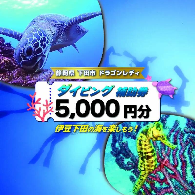 ダイビング 補助券 5,000円分 ダイビング 伊豆 下田