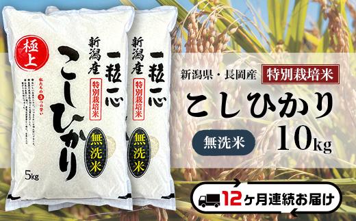 
48-M10Z【12ヶ月連続お届け】【無洗米】新潟県長岡産特別栽培米コシヒカリ10kg
