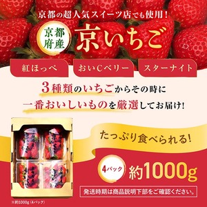 【数量限定】高級 京いちご 内容量 約1,000g（250g 4パック）【紅ほっぺ おいCベリー スターナイトから厳選してお届け】訳あり 完熟 朝採れ ※離島への配送不可 ※2025年2月上旬～5月下