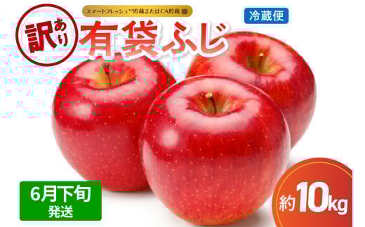 【2026年6月下旬発送】【訳あり】りんご10kg有袋ふじ【スマートフレッシュTM貯蔵またはCA貯蔵・クール便】