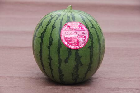 【先行予約】種ごと食べられる！小玉スイカ ピノ・ガール 2玉（1玉2kg前後×2玉）※着日指定不可 ※離島への配送不可【西瓜 西瓜 すいか すいか 果物 くだもの フルーツ】