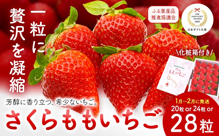 【CF】いちご 佐那河内村限定 さくらももいちご 20粒  24粒 28粒  化粧箱 JA徳島市佐那河内支所 ふる里産品推進協議会《1月上旬頃から2月末頃に出荷(土日祝除く)》徳島県 佐那河内村【配送不可地域あり】※離島 | ブランドいちご 産地直送 ギフト大賞 ジューシー---sanagouchi_hss_7_1k---