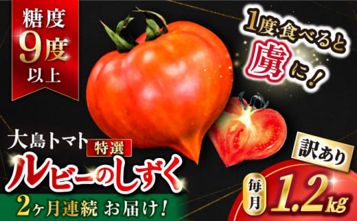【2027年3月より発送開始予定】【2回定期便】【 訳あり 】 大島トマト  ルビーのしずく 約1.2kg＜大島造船所 農産グループ＞ [CCK031]  長崎 西海 トマト とまと 大島トマト 高糖度 贈答 訳あり トマト 不揃い 規格外 人気 高評価 甘い 新鮮 野菜 トマト