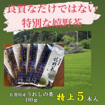 ふるさと納税 佐賀県 【創業110年】老舗茶屋の嬉野茶(一番茶 かぶせ玉緑茶100g×5本入)