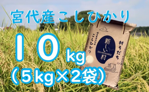 米 コシヒカリ 宮代の自然と人が育てた令和7年度産コシヒカリ「村そだち」10kg  | 米 白米 はくまい こめ コシヒカリ 新米 国産 美味しい 品質 低農薬 化学肥料 農薬 安心 安全 甘い 甘み 旨み うまみ 食味値 農家直送 精米 家庭用 新しい村 埼玉県 宮代 宮代町