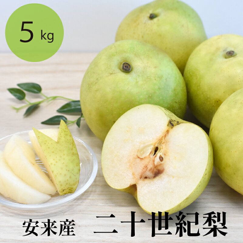 【ふるさと納税】二十世紀梨 5kg ／ 先行受付 2025年発送 梨 なし ナシ 20世紀 美味しい みずみずしい 期間限定 先行予約