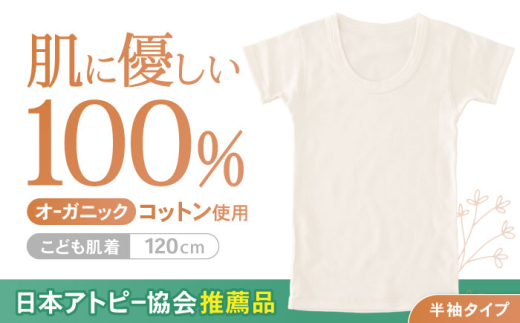 オーガニックコットンこども肌着半袖(120cmサイズ)・日本アトピー協会推薦品 / シャツ 肌着 ベビー ベビー用品 新生児用 赤ちゃん 綿 コットン 出産 出産祝い 準備 / 諫早市 / 株式会社美泉 [AHAP023]