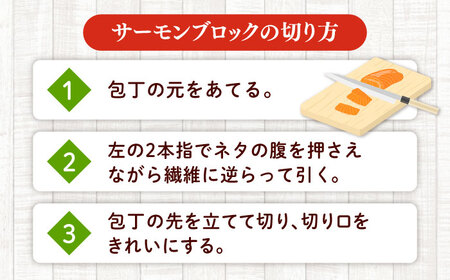 レモン香るアトランティックサーモンマリネブロック 500g(250g×2)　桂川町/宅配弁当　輪[ADCC001]