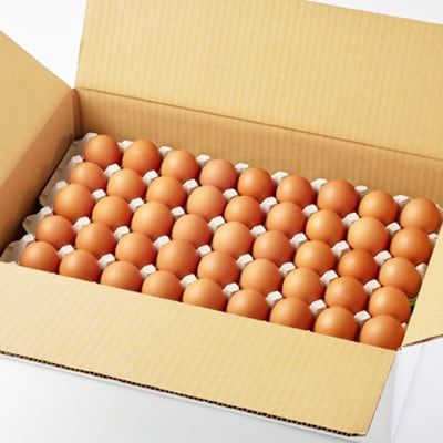 大分生まれのAW飼い有精卵「豊の米卵」90個入り【配送不可地域：離島】【1610935】