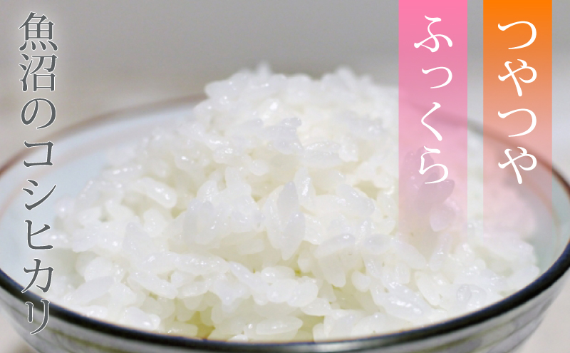 新潟産コシヒカリ2kg